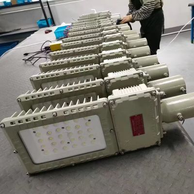 Warm verkauftes High Lumen Explosion Proof Flood Light IP66 WF2 Schutzniveau