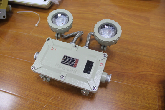 Langlebige und robuste, nicht brennbare Notleuchte. Betriebsdauer 120 min. Eingangsspannung 50/60 Hz/24VDC/24VAC/36VDC