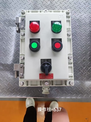Explosionssichere 220V Flammfeste Steuerung mit Bremsschalter