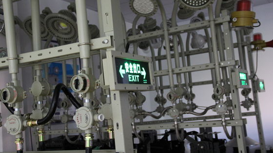 Fabrik Direktverkauf Atex Led Explosion Proof Notfall Chemieindustrie Ip66 Wasserdichte Tankstellen Ausgang Lichter