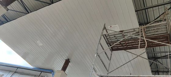 120° Strahlwinkelsicherheit LED-Floodlicht für Schwerlastanwendungen