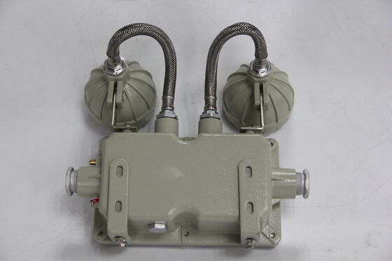Explosionsgeschützte doppelköpfige Notleuchte aus Aluminiumlegierung, 220VAC/24VDC, Sicherheit IP66, LED-Licht