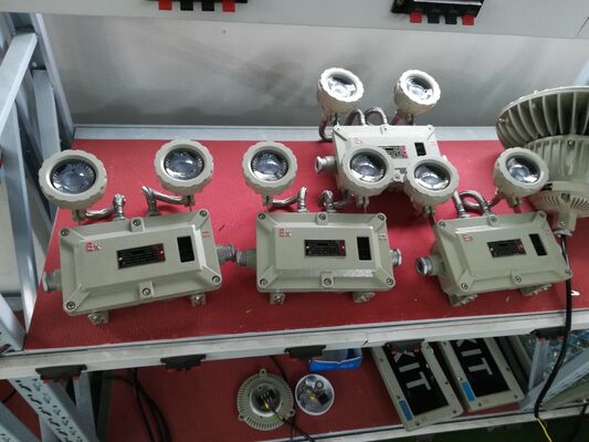 Explosionsgeschützte doppelköpfige Notleuchte aus Aluminiumlegierung, 220VAC/24VDC, Sicherheit IP66, LED-Licht