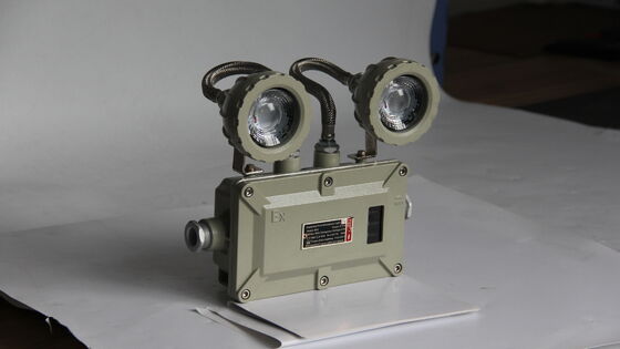 ATEX × CNEX 220VAC 50Hz CCT 4500-6500K angepasste Explosionssichere Notlicht