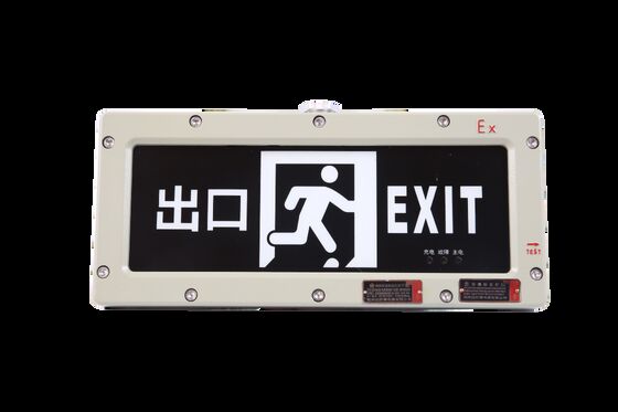 Schnelllicht 3W Wiederaufladbar 3.6V 180 min Notzeit Muster angepasst